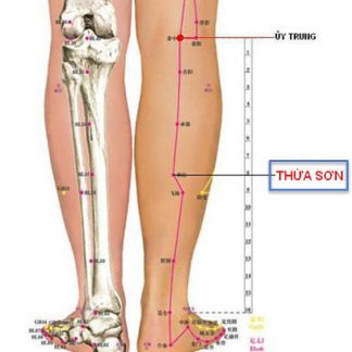 nhung-huyet-dao-giup-phong-tranh-tinh-trang-chuot-rut-2